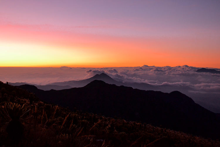amanecer alto de campanas