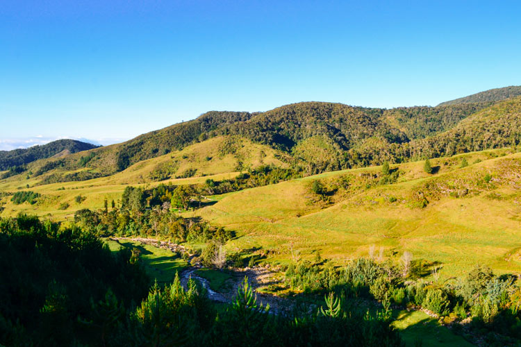 Camino páramo del sol