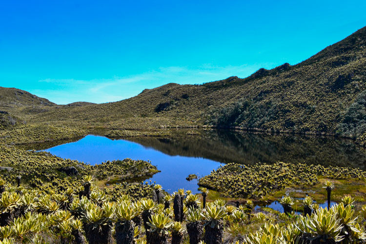 laguna alto de campanas