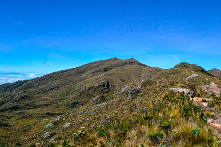 páramo del sol